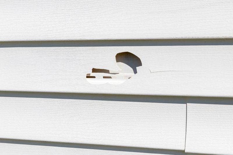 High-Quality Vinyl Siding Replacement
